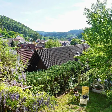 Awesome In With 2 Bedrooms&wifi Hinterweidenthal